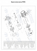 Консольно-моноблочный фланцевый насос PSTG 32-200/30 (N)