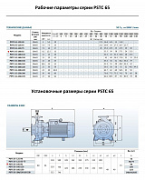 Консольно-моноблочный фланцевый насос PURITY PSTC 65-160/92 (N)