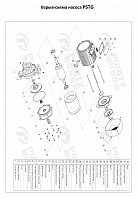 Консольно-моноблочный фланцевый насос PSTG 100-200/300 (N)