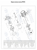 Консольно-моноблочный фланцевый насос PSTG 32-160/15 (N)