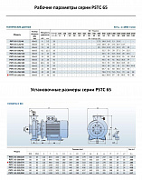 Консольно-моноблочный фланцевый насос PURITY PSTC 65-250-370 (N)