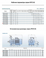 Консольно-моноблочный фланцевый насос PURITY PSTC 65-250/300 (N)
