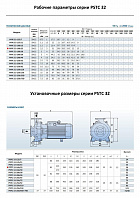 Консольно-моноблочный фланцевый насос PURITY PSTC 32-160/22 (N)