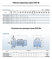 Консольно-моноблочный фланцевый насос PURITY PSTC 80-160/110 (N)