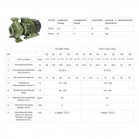 Насосный агрегат моноблочный фланцевый SAER IR 40-250A