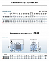 Консольно-моноблочный фланцевый насос PURITY PSTC 100-200/370 (N)