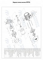 Консольно-моноблочный фланцевый насос PSTG 40-200/55 (N)