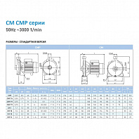 Наcосный агрегат моноблочный резьбовой SAER CMP 79 400V