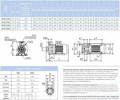 Насосный агрегат моноблочный фланцевый SAER IR 100-200A