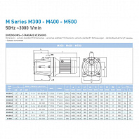 Самовсасывающий насос SAER M 300B, 230 В