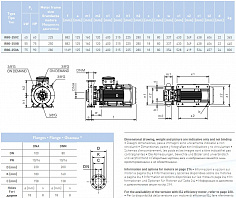 Насосный агрегат моноблочный фланцевый SAER IR 80-250B