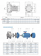 Моноблочный насос из нержавеющей стали PURITY PZ 32-160/15 (N)