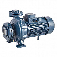 Консольно-моноблочный фланцевый насос PURITY PSTC 100-200/300 (N)