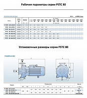 Консольно-моноблочный фланцевый насос PURITY PSTC 80-125-40 (N)