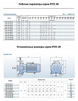 Консольно-моноблочный фланцевый насос PURITY PSTC 40-160/40 (N)
