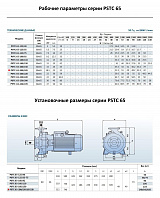 Консольно-моноблочный фланцевый насос PURITY PSTC 65-200/185 (N)