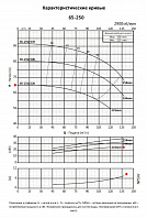 Консольно-моноблочный фланцевый насос PURITY PSTC 65-250/220 (N)