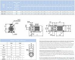 Насосный агрегат моноблочный фланцевый SAER IR 50-315D