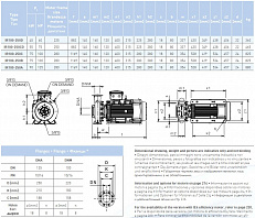 Насосный агрегат моноблочный фланцевый SAER IR 100-250A
