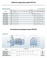 Консольно-моноблочный фланцевый насос PURITY PSTC 65-200/220 (N)