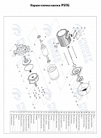 Консольно-моноблочный фланцевый насос PSTG 50-125/30 (N)