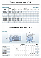 Консольно-моноблочный фланцевый насос PURITY PSTC 32-250/55 (N)