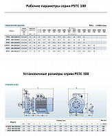Консольно-моноблочный фланцевый насос PURITY PSTC 100-200-220 (N)