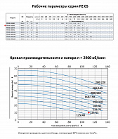 Моноблочный насос из нержавеющей стали PURITY PZ 65-125/55 (N)