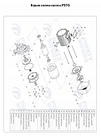 Консольно-моноблочный фланцевый насос PSTG 32-160/30 (N)