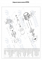 Консольно-моноблочный фланцевый насос PSTG 80-200/300 (N)
